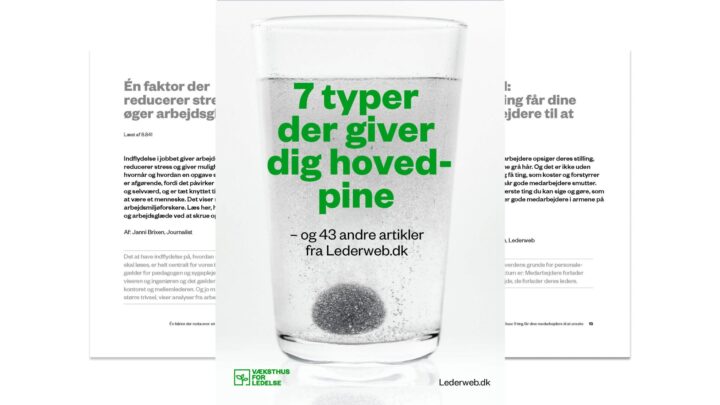 forside af publikationen