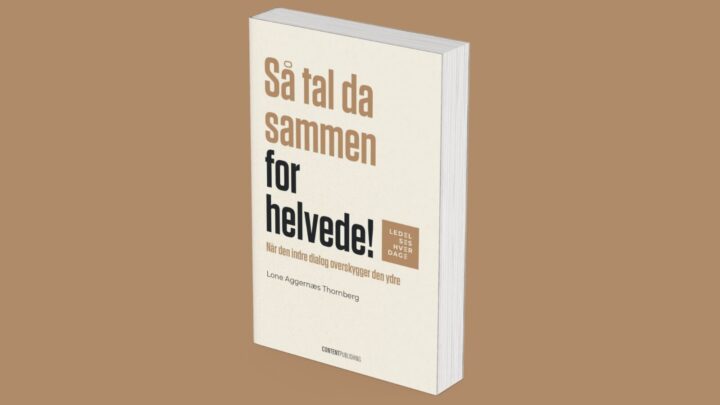 Billede af bogen 'Så tal da sammen for helvede!'