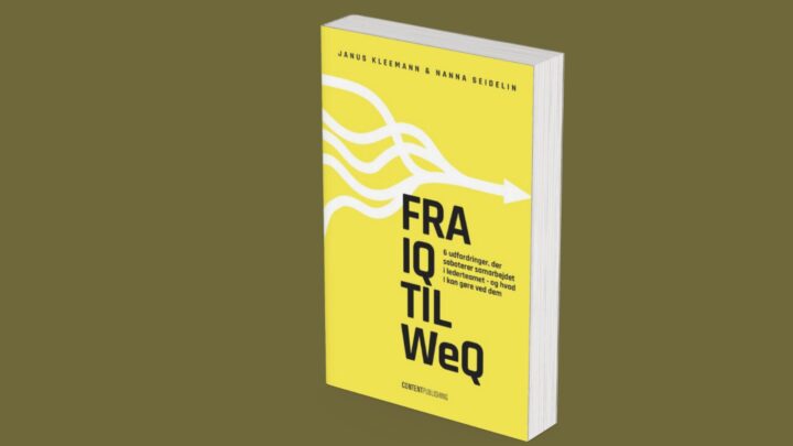 Forsidebillede af bogen 'Fra IQ til WeQ'.