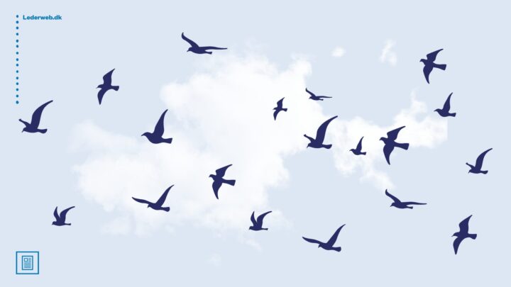 grafik af fugle der flyver