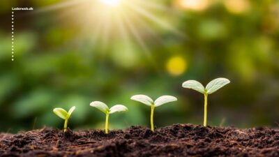 Motivation for Ledelse